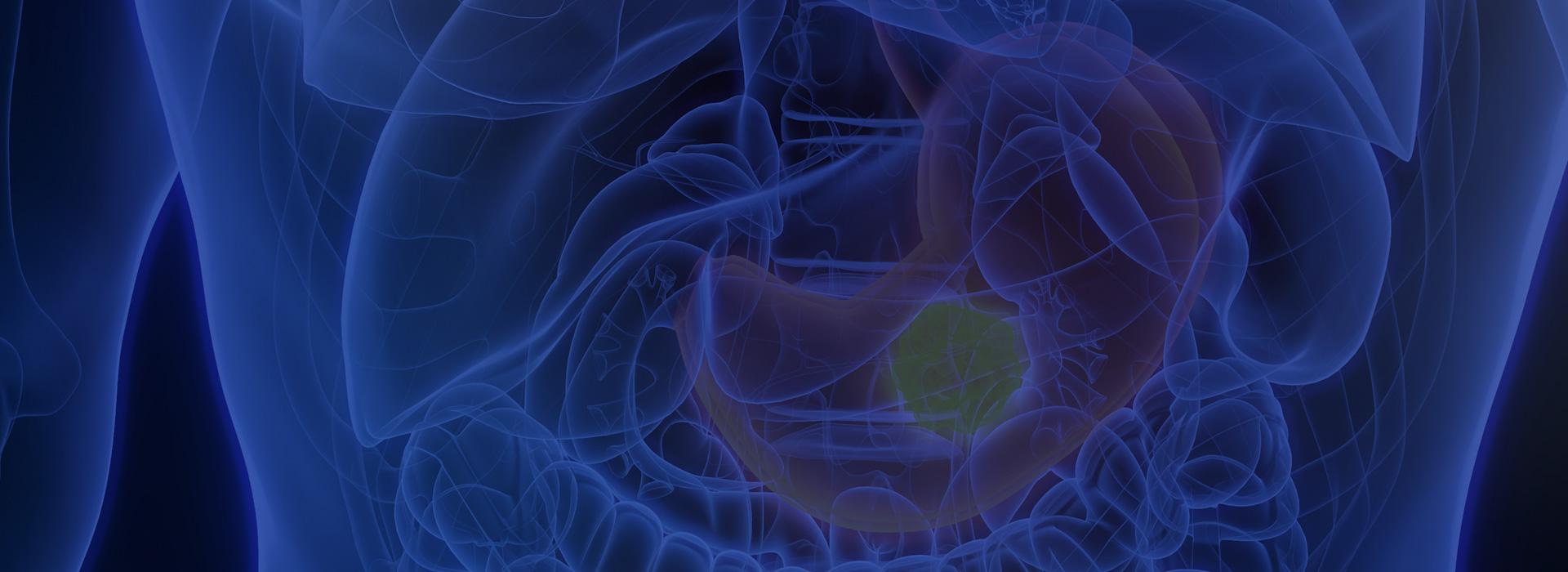 키비주얼 이미지