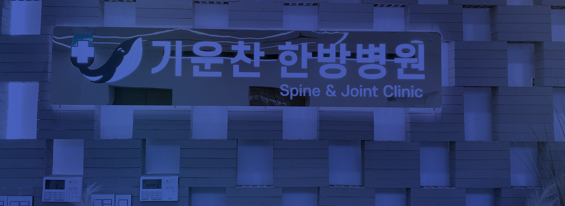 키비주얼 이미지